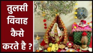 तुलसी विवाह (Tulsi Vivah) कैसे करें? 2025 में जानें पूरी प्रक्रिया और इसके 5 अद्भुत फायदे (गलती से भी न करें ये गलतियाँ)