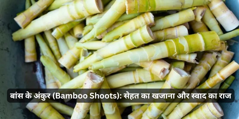 Bamboo Shoots