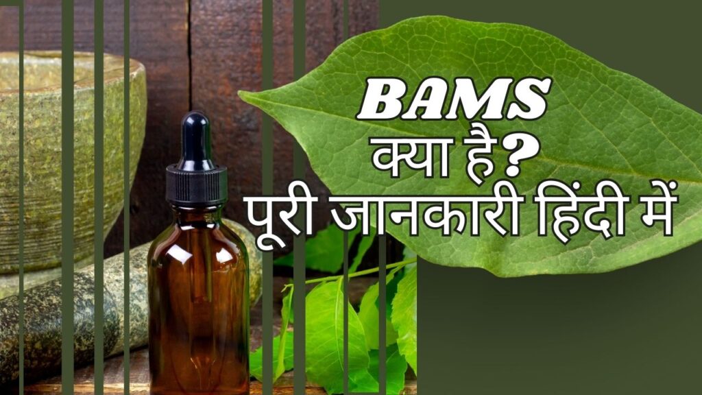 BAMS