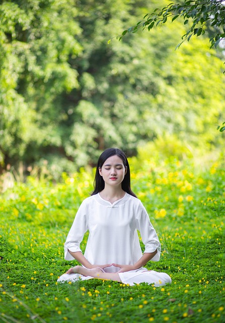 World Meditation Day